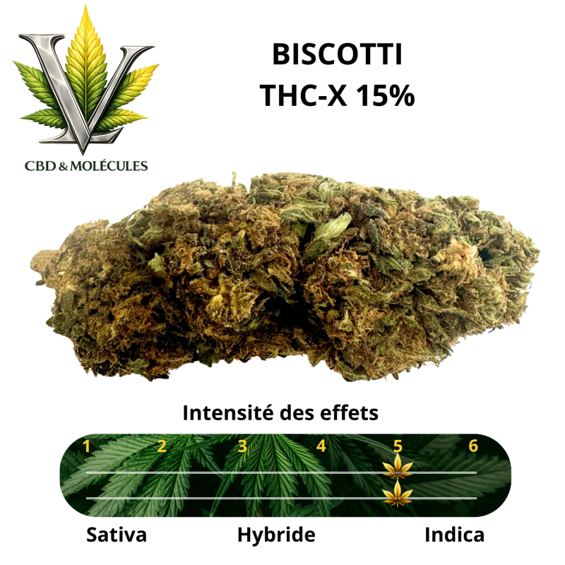 LV PREMIUM - FLEUR BISCOTTI 15% THC-X GREENHOUSE - La Vapoteria