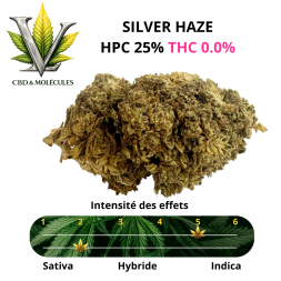LV PREMIUM - FLEUR SILVER HAZE HPC 25% THC 0.0% INDOOR - La Vapoteria