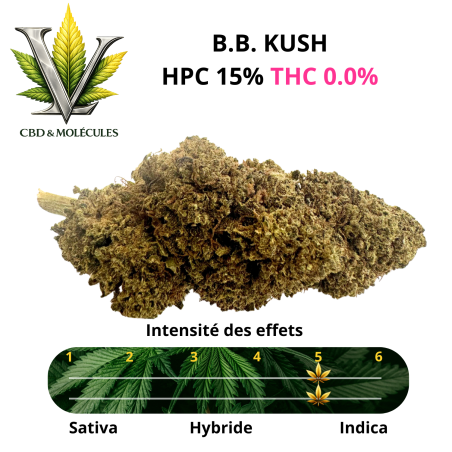 LV PREMIUM - FLEUR B.B. KUSH HPC 15% THC 0.0% INDOOR - La Vapoteria