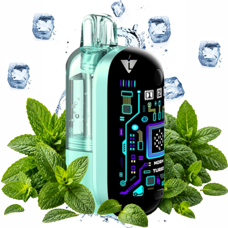 VOOPOO -  PUFF ARGUS FLEX MINT 2% 40K - La Vapoteria
