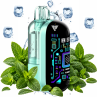 VOOPOO -  PUFF ARGUS FLEX MINT 2% 40K - La Vapoteria