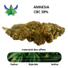 VIKING HEMP - FLEUR AMNESIA CBC 30% - La Vapoteria