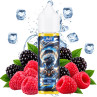 JNR - LIQUIDE BLACKBERRY RED RASPBERRY 50ml - La Vapoteria