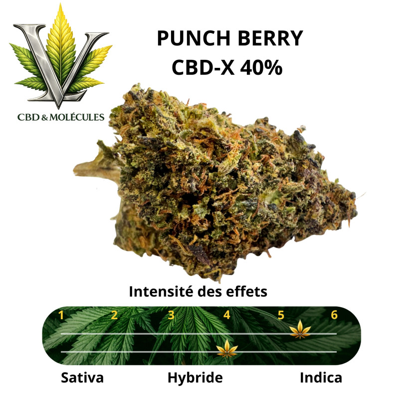 VIKING HEMP - FLEUR PUNCH BERRY CBD-X 40% - La Vapoteria