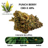 VIKING HEMP - FLEUR PUNCH BERRY CBD-X 40% - La Vapoteria