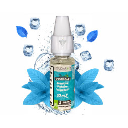 LIQUIDAROM - MENTHE POLAIRE VÉGÉTOL 10ml - La Vapoteria