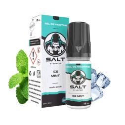SALT E-VAPOR - ICE MINT 10ml - La Vapoteria