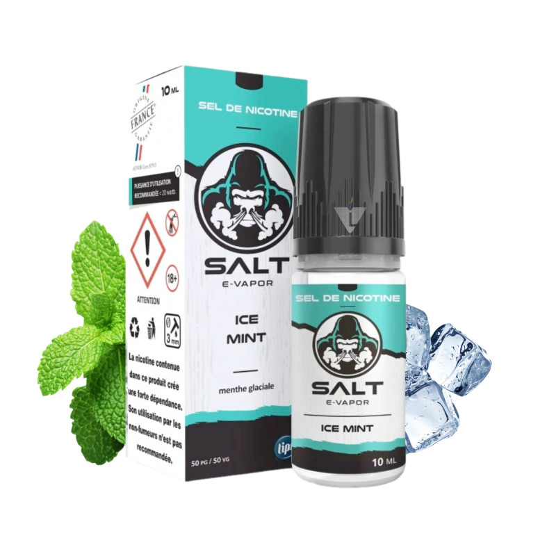 SALT E-VAPOR - ICE MINT 10ml - La Vapoteria