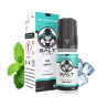 SALT E-VAPOR - ICE MINT 10ml - La Vapoteria