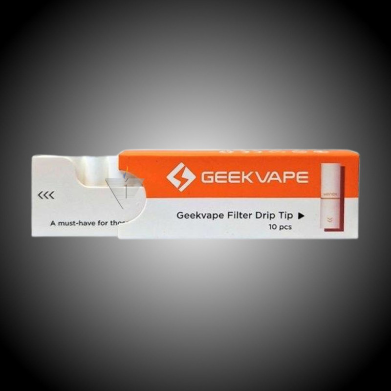 FILTRE GV WENAX M1 X 10 PCS