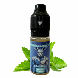 WR - SALT 7K - BLUE MINT 10ml - La Vapoteria