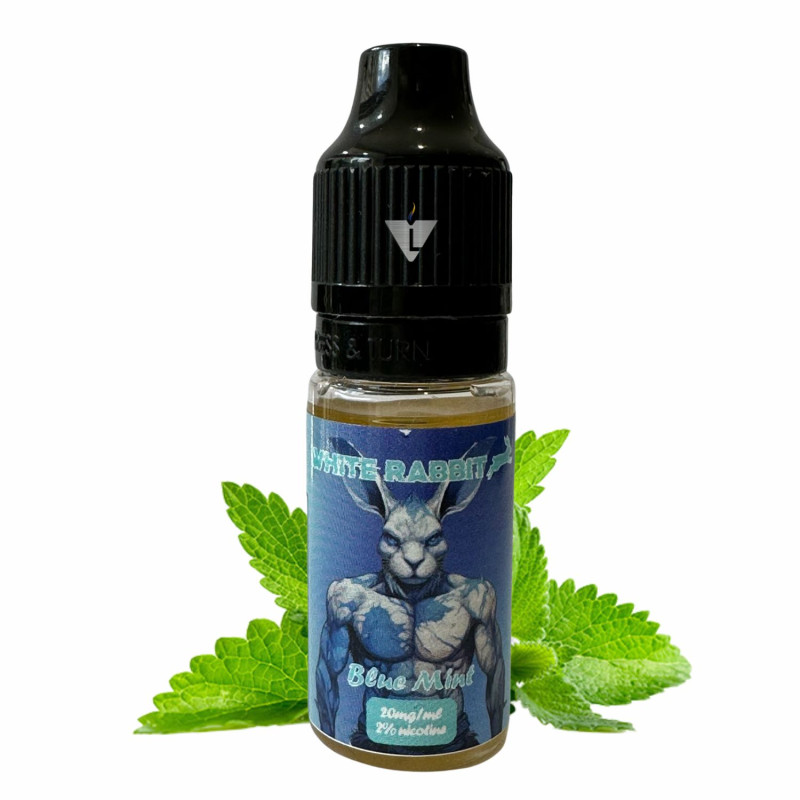 [H.B] SALT 7K BLUE MINT