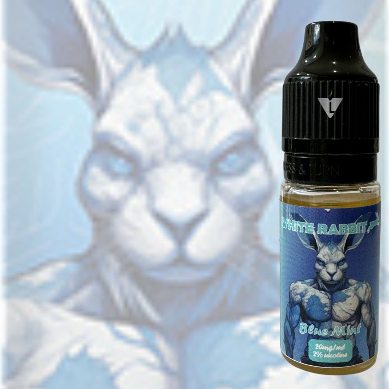 WR - SALT 7K - BLUE MINT 10ml 2 - La Vapoteria