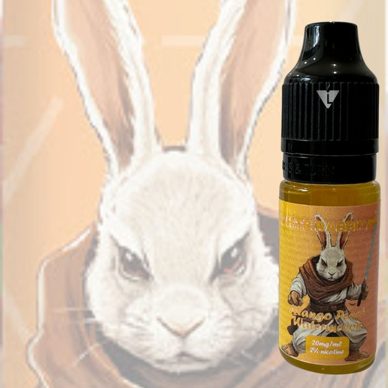 WR - SALT 7K - MANGO PEACH WATERMELON 10ml 2 - La Vapoteria