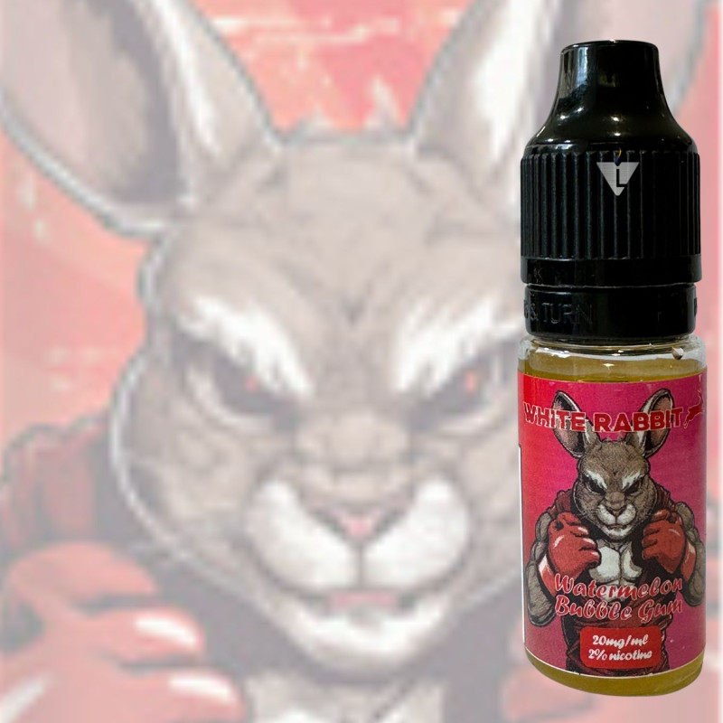 WR - SALT 7K - WATERMELON BUBBLE GUM 10ml 2 - La Vapoteria