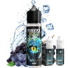 FURIOSA - EGGZ ARIA V2 50ml 06mg - La Vapoteria