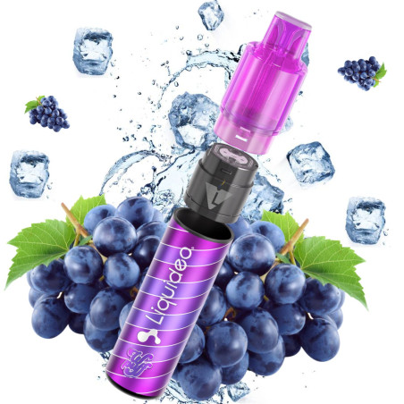 WPUFF FUSION 2.0 - RAISIN GLACÉ 2% 15000 PUFFS - La Vapoteria