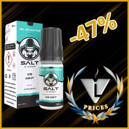 SALT E-VAPOR - ICE MINT 10ml - La Vapoteria