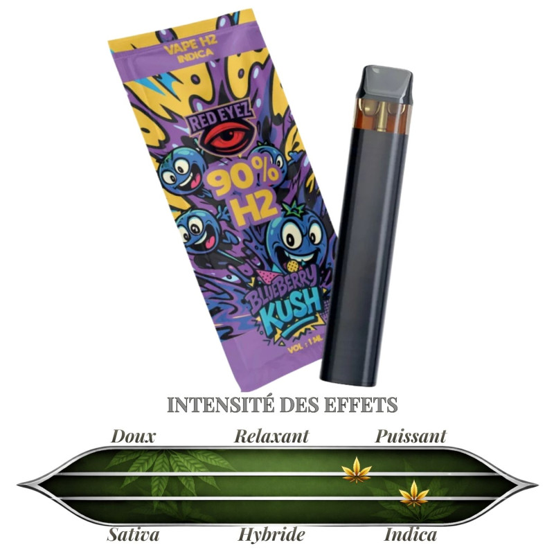 RED EYEZ - PUFF BLUEBERRY KUSH  NL1 H2 90% 1ml - La Vapoteria