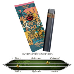 RED EYEZ - PUFF CALIFORNIA DREAM H2 90% 1ml - La Vapoteria