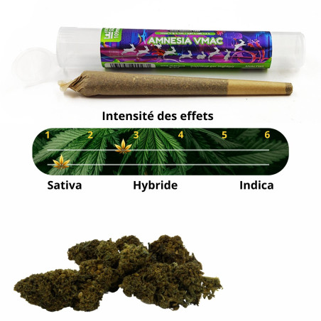 PRE-ROLL VMAC AMNESIA - La Vapoteria
