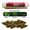 WHITE RABBIT - PRE-ROLL VMAC HYPER STRONG CALIFORNIA - La Vapoteria