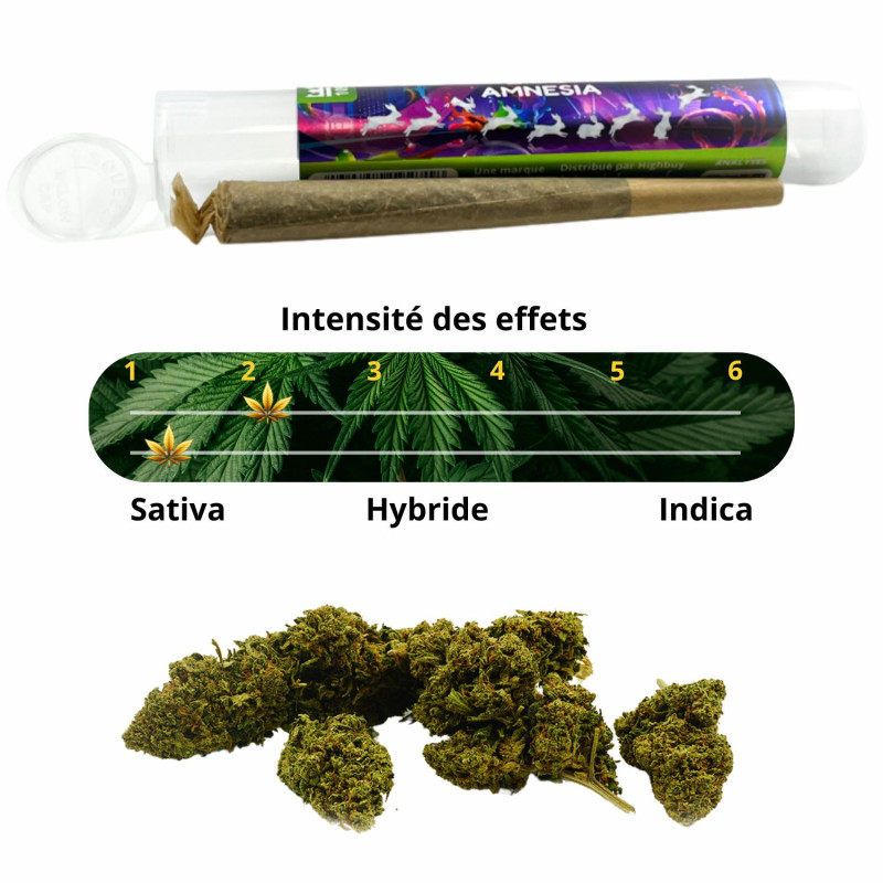 [H.B WB] PRE-ROLL CBD AMNESIA