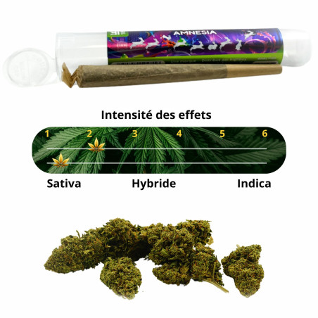 PRE-ROLL CBD AMNESIA - La Vapoteria