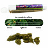 PRE-ROLL CBD AMNESIA - La Vapoteria