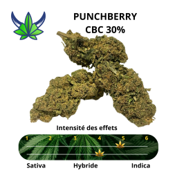 VIKING HEMP - FLEUR PUNCHBERRY CBC 30% - La Vapoteria