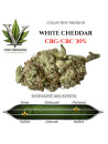 LV PREMIUM - FLEUR WHITE CHEDDAR CBC/CBG - La Vapoteria