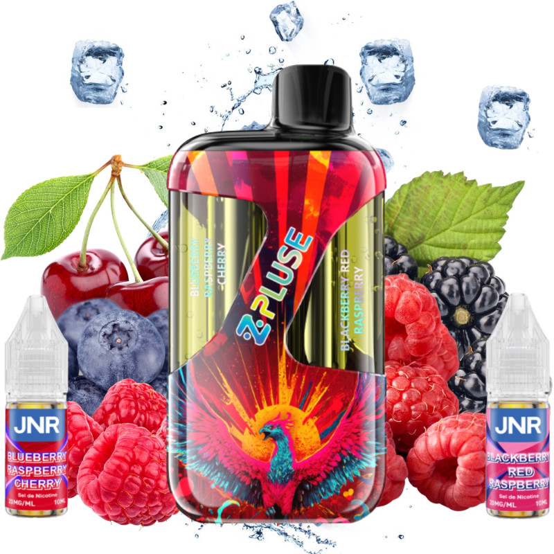 JNR - PUFF ZPLUS BLUEBERRY RASPBERRY CHERRY/BLACKBERRY RED RASPBERRY 42K - La Vapoteria