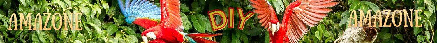 Banniere Amazone Diy