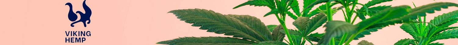 Banniere Viking Hemp