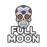 Full Moon DIY