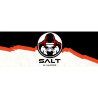 Salt e-vapor