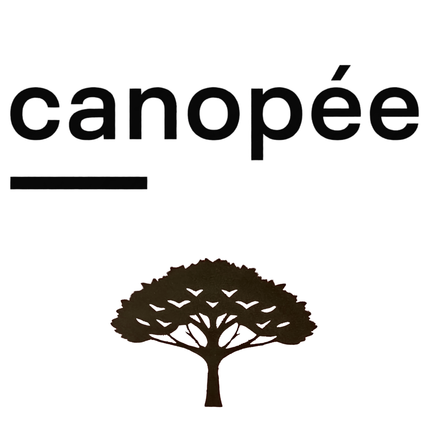 Canopée