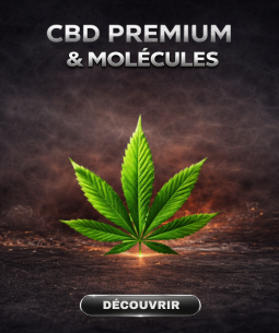 CBD / GUMMIES / DELTA 9