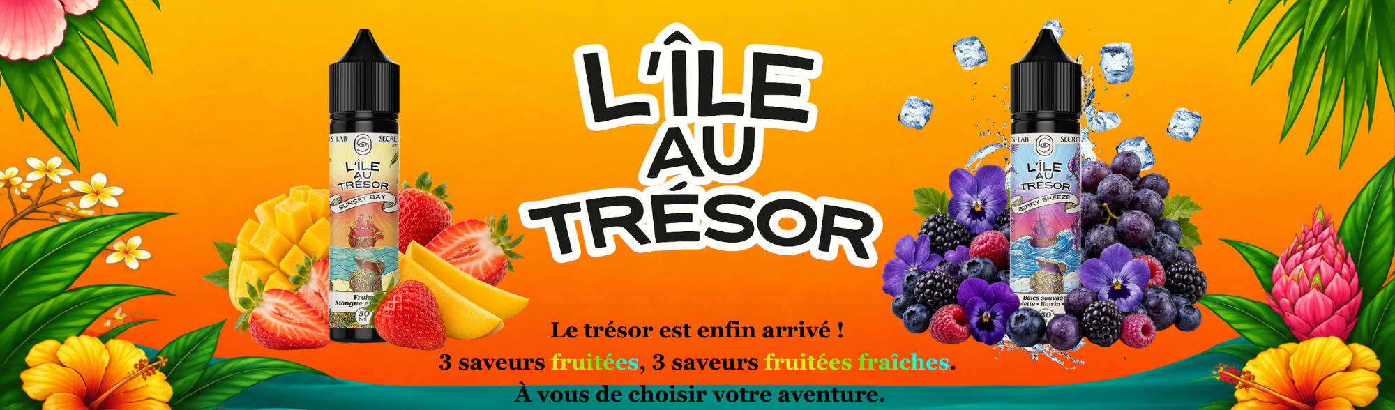 ile au trésor