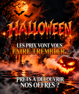 LES BONNES AFFAIRES